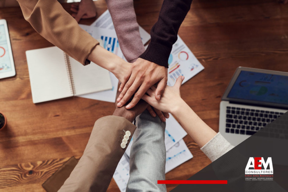 La Planificación Financiera: Un Esencial para la Estabilidad desde una Perspectiva Contable