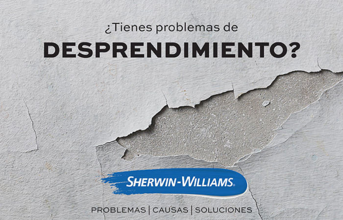 ¿CÓMO SOLUCIONAR LOS PROBLEMAS DE DESPRENDIMIENTO DE PINTURA?