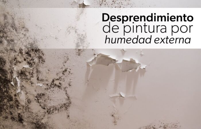 Desprendimiento de pintura por humedad externa