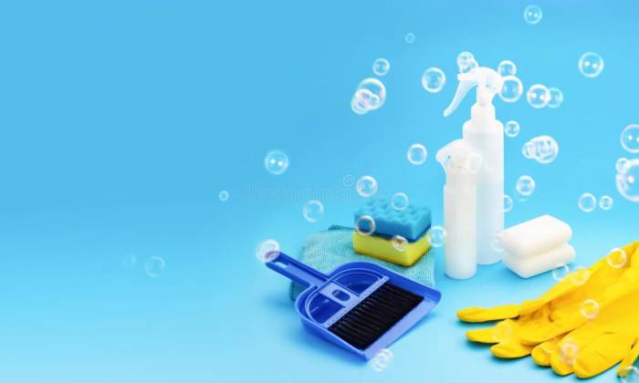 LOS MEJORES PRODUCTOS PARA ALFOMBRAS