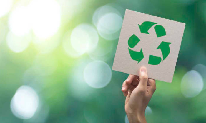 Con EcologicaPTY, Reciclar nunca había sido tan fácil