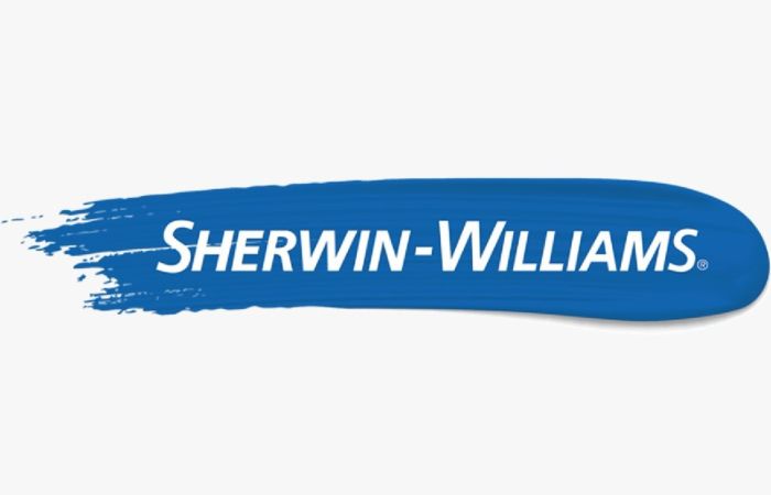 ¿CÓMO SOLUCIONAR LOS PROBLEMAS DE DESPRENDIMIENTO DE PINTURA?