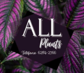 All Plants
