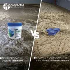 BIOINNOVACIÓN