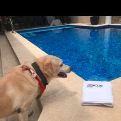 GEOPOOLS