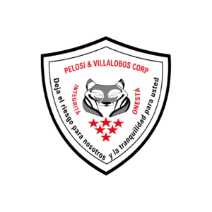 Pelosi & Villalobos Corp