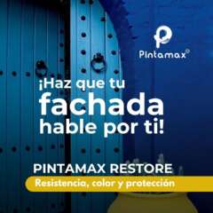 Pintamax