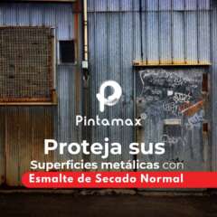 Pintamax