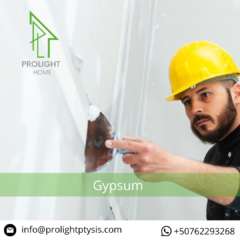 PRO LIGHT HOME