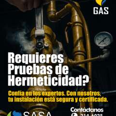 SASA - SERVICIOS ALTERNATIVOS