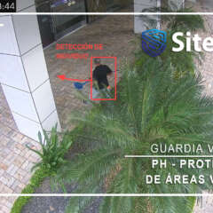 SiteOne Security