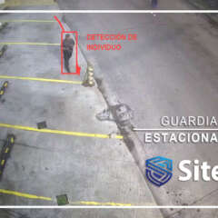 SiteOne Security