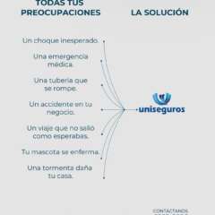UNISEGUROS S.A.